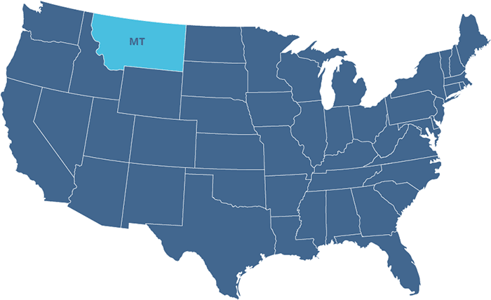 montana Form W-2 Filing Requirements